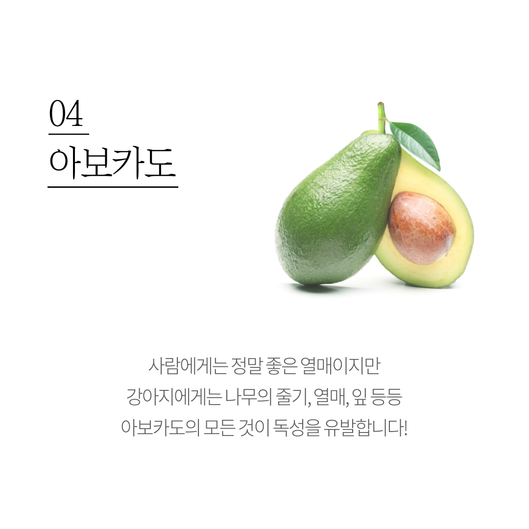 8f0c80e21c4d1d0da9e645c2f300da5e_1641806185_3556.png 8f0c80e21c4d1d0da9e645c2f300da5e_1641806185_3556.png