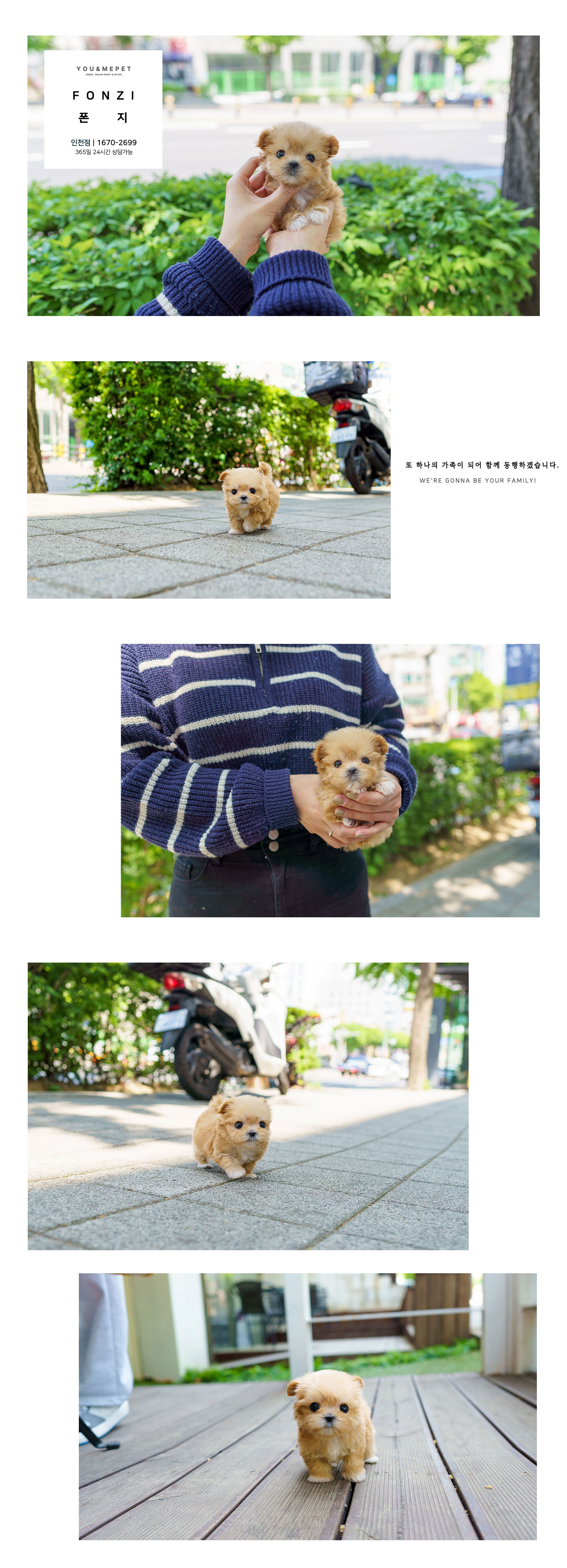 a0e8cc4bf0bb726da7268e481027c7a9_1714734558_1926.jpg