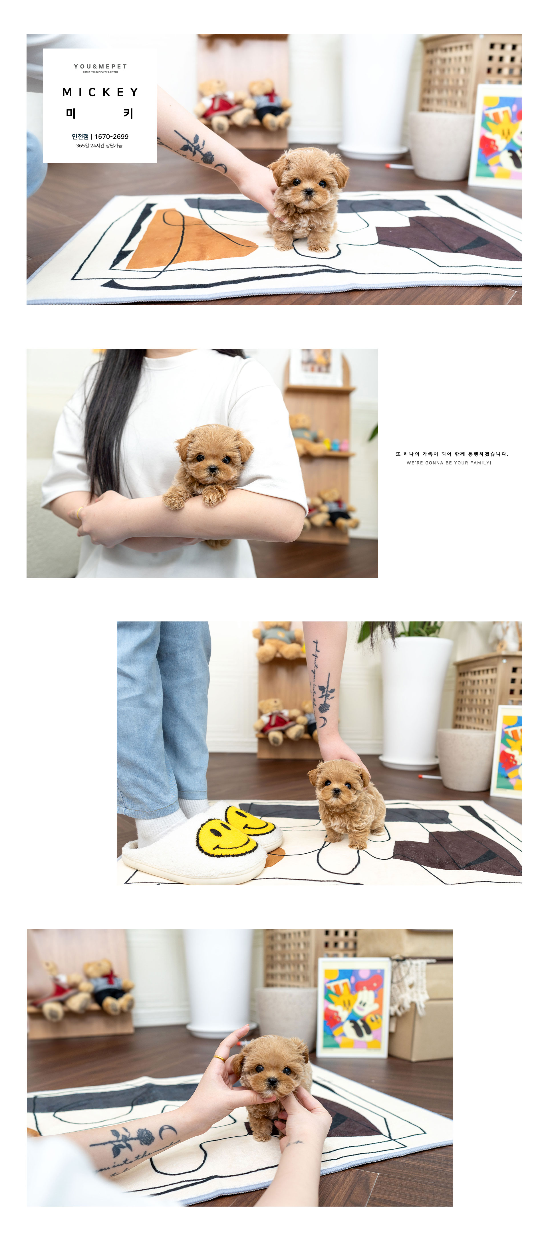 c508456a7d91ad5a7d07284bc91028a6_1716372463_0181.jpg