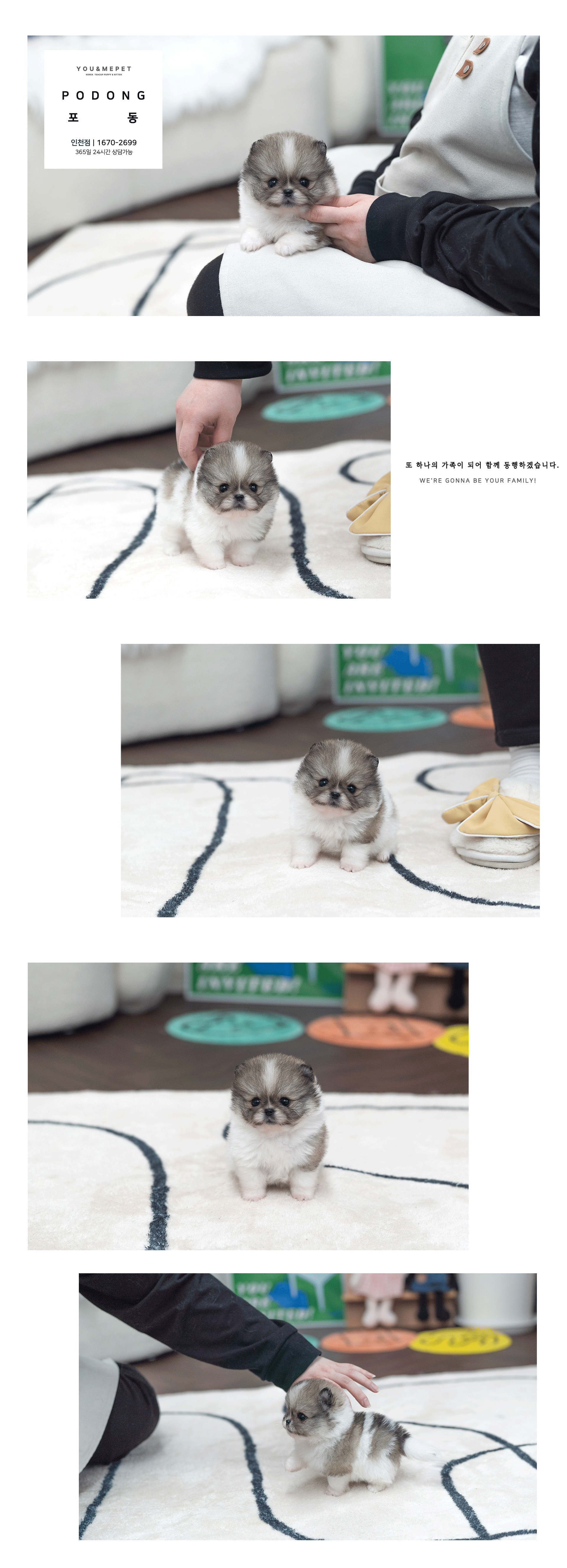 7febb0bec61a28164292de4a1eb4464a_1741774228_4272.gif