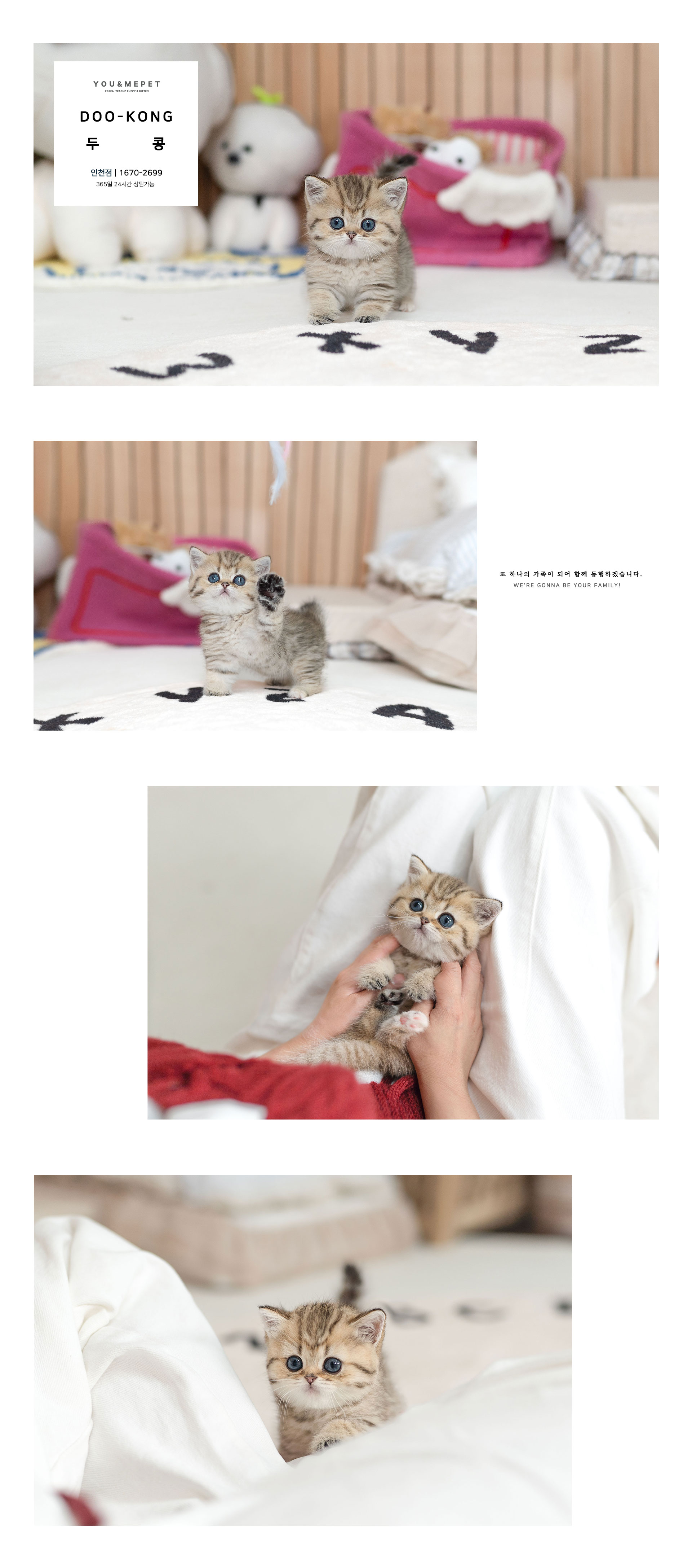 2ff5100cc8ee4f9277d790364dbb58d0_1756183505_4089.jpg