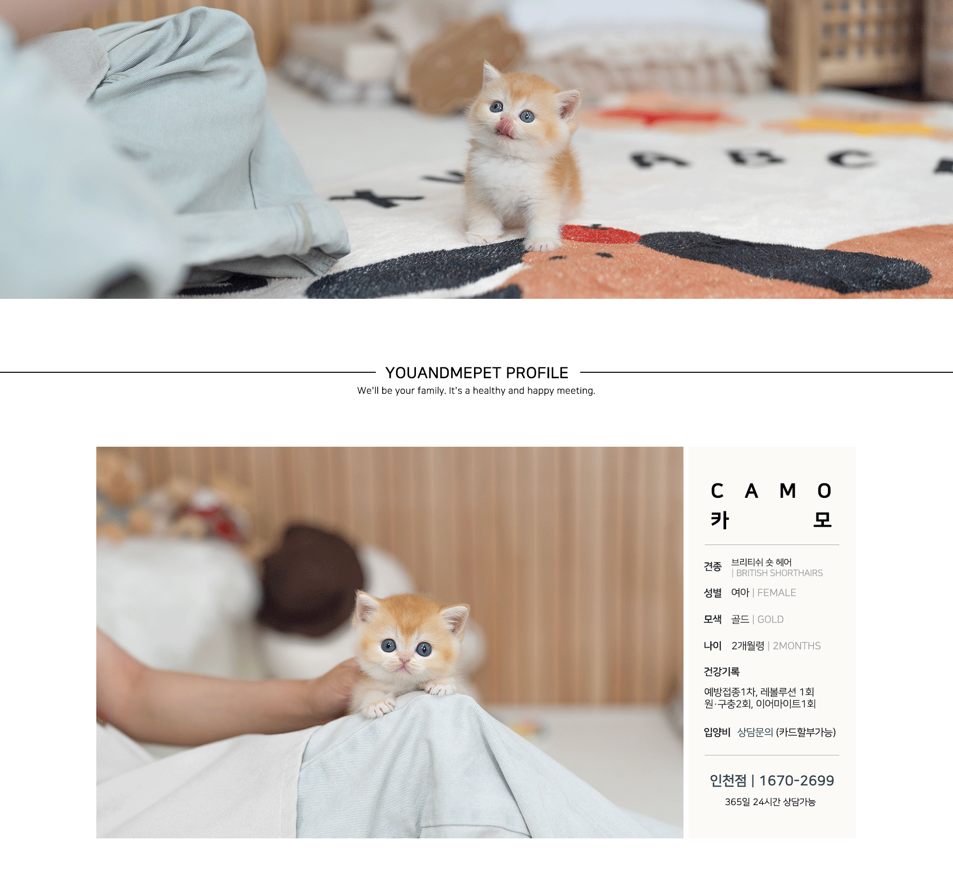 9604a56a4cffca03e613d5390242972a_1754801563_1105.gif