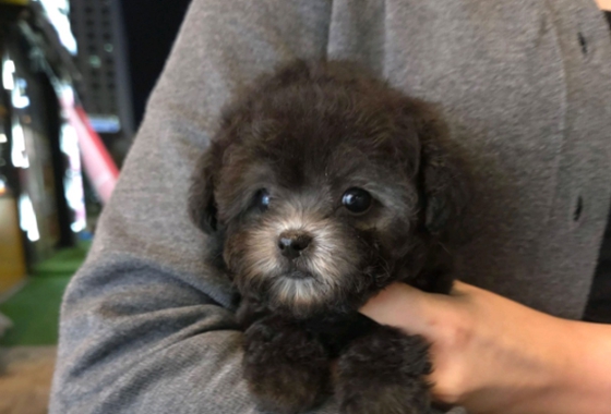 d3ba6130c81e9eb2a832ab9ddc76b1e3_1759134503_7396.jpg d3ba6130c81e9eb2a832ab9ddc76b1e3_1759134503_7396.jpg