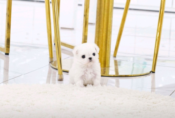 d3ba6130c81e9eb2a832ab9ddc76b1e3_1759134575_4434.jpg d3ba6130c81e9eb2a832ab9ddc76b1e3_1759134575_4434.jpg