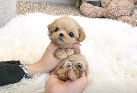 d3ba6130c81e9eb2a832ab9ddc76b1e3_1759134651_8798.jpg d3ba6130c81e9eb2a832ab9ddc76b1e3_1759134651_8798.jpg