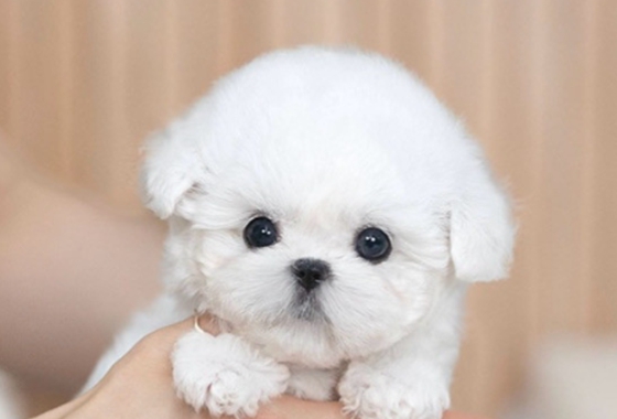 145b8face14cffe5b65fab96c500d53f_1762159926_8087.jpg 145b8face14cffe5b65fab96c500d53f_1762159926_8087.jpg