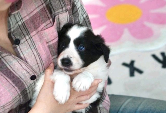 145b8face14cffe5b65fab96c500d53f_1762160002_4103.jpg 145b8face14cffe5b65fab96c500d53f_1762160002_4103.jpg