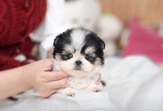 145b8face14cffe5b65fab96c500d53f_1762160021_779.jpg 145b8face14cffe5b65fab96c500d53f_1762160021_779.jpg