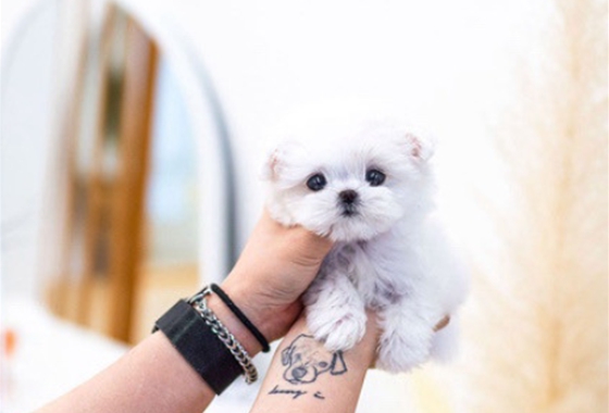 145b8face14cffe5b65fab96c500d53f_1762160238_815.jpg 145b8face14cffe5b65fab96c500d53f_1762160238_815.jpg