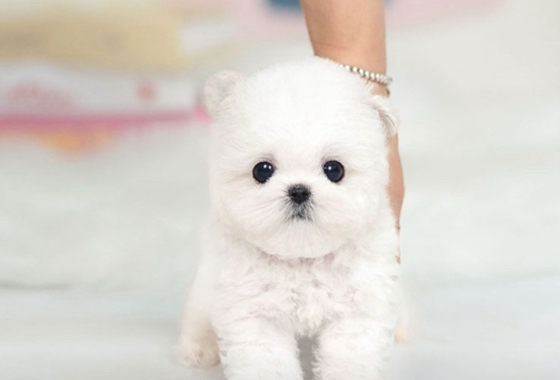 145b8face14cffe5b65fab96c500d53f_1762160328_5173.jpg 145b8face14cffe5b65fab96c500d53f_1762160328_5173.jpg