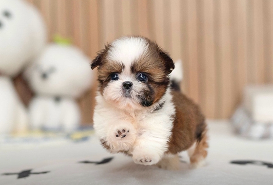 145b8face14cffe5b65fab96c500d53f_1762160348_7444.jpg 145b8face14cffe5b65fab96c500d53f_1762160348_7444.jpg