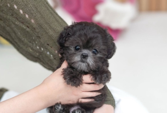 145b8face14cffe5b65fab96c500d53f_1762160439_5108.jpg 145b8face14cffe5b65fab96c500d53f_1762160439_5108.jpg