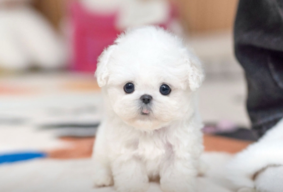 145b8face14cffe5b65fab96c500d53f_1762160570_9593.jpg 145b8face14cffe5b65fab96c500d53f_1762160570_9593.jpg