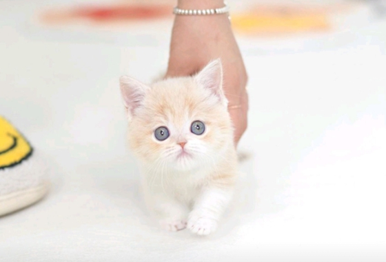 145b8face14cffe5b65fab96c500d53f_1762160648_0873.jpg 145b8face14cffe5b65fab96c500d53f_1762160648_0873.jpg