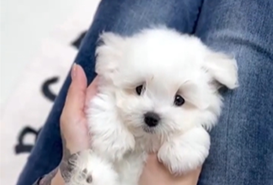 145b8face14cffe5b65fab96c500d53f_1762160688_0954.jpg 145b8face14cffe5b65fab96c500d53f_1762160688_0954.jpg