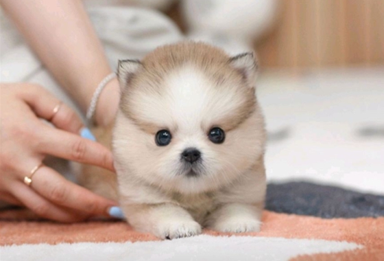 145b8face14cffe5b65fab96c500d53f_1762160753_2684.jpg 145b8face14cffe5b65fab96c500d53f_1762160753_2684.jpg