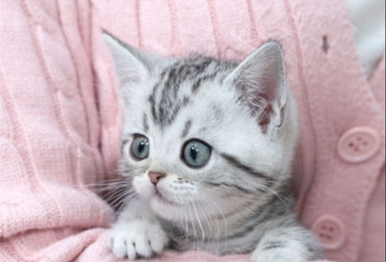 145b8face14cffe5b65fab96c500d53f_1762160866_7504.jpg 145b8face14cffe5b65fab96c500d53f_1762160866_7504.jpg