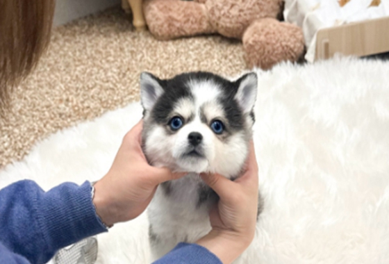 145b8face14cffe5b65fab96c500d53f_1762161127_586.jpg 145b8face14cffe5b65fab96c500d53f_1762161127_586.jpg