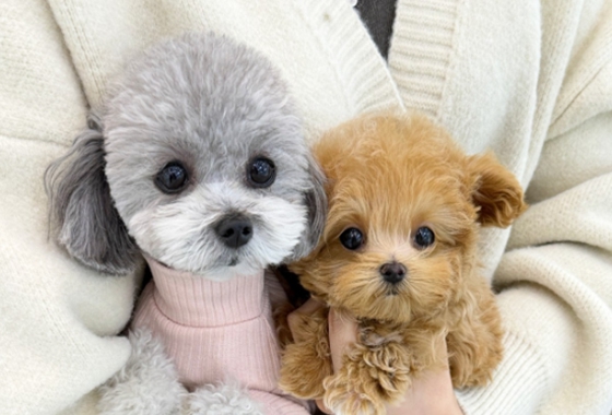 626a1b595fe75dae96c2965f279de69b_1762236446_6981.jpg 626a1b595fe75dae96c2965f279de69b_1762236446_6981.jpg