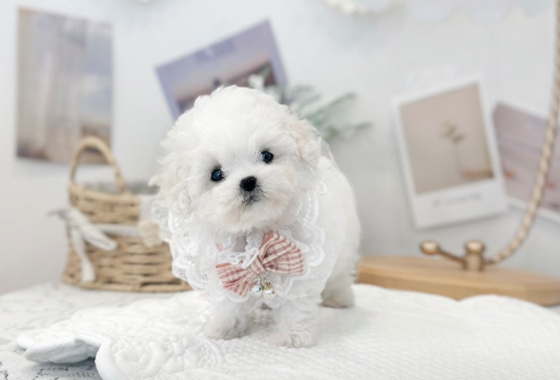 626a1b595fe75dae96c2965f279de69b_1762236546_017.jpg 626a1b595fe75dae96c2965f279de69b_1762236546_017.jpg