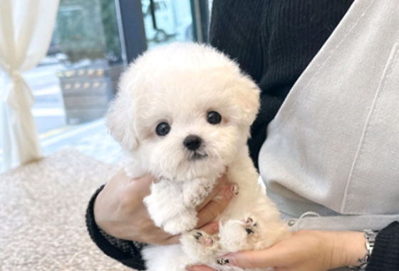 626a1b595fe75dae96c2965f279de69b_1762236746_0052.jpg 626a1b595fe75dae96c2965f279de69b_1762236746_0052.jpg