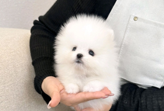 626a1b595fe75dae96c2965f279de69b_1762236776_4244.jpg 626a1b595fe75dae96c2965f279de69b_1762236776_4244.jpg