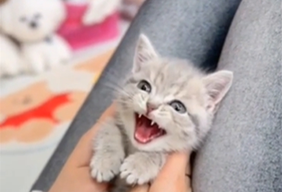 626a1b595fe75dae96c2965f279de69b_1762237084_8819.jpg 626a1b595fe75dae96c2965f279de69b_1762237084_8819.jpg