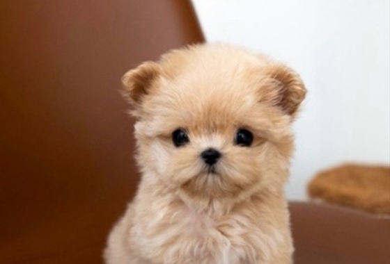 626a1b595fe75dae96c2965f279de69b_1762237111_6255.jpg 626a1b595fe75dae96c2965f279de69b_1762237111_6255.jpg