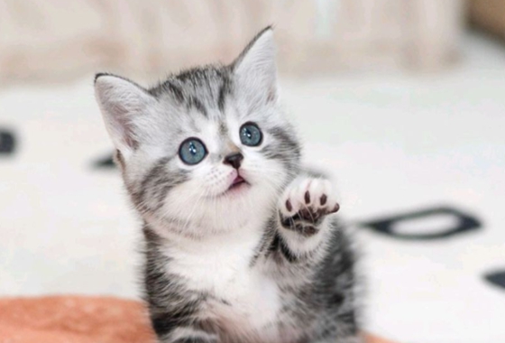 626a1b595fe75dae96c2965f279de69b_1762237170_906.jpg 626a1b595fe75dae96c2965f279de69b_1762237170_906.jpg