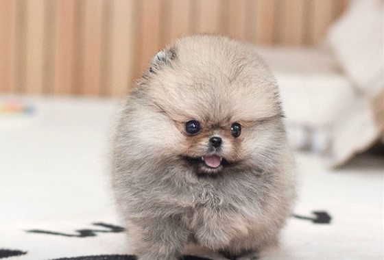 626a1b595fe75dae96c2965f279de69b_1762237405_6957.jpg 626a1b595fe75dae96c2965f279de69b_1762237405_6957.jpg