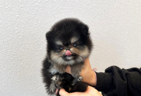 626a1b595fe75dae96c2965f279de69b_1762237492_7313.jpg 626a1b595fe75dae96c2965f279de69b_1762237492_7313.jpg