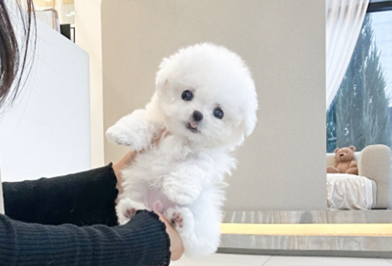 626a1b595fe75dae96c2965f279de69b_1762237532_3626.jpg 626a1b595fe75dae96c2965f279de69b_1762237532_3626.jpg