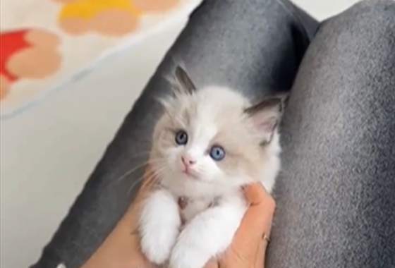 626a1b595fe75dae96c2965f279de69b_1762237642_379.jpg 626a1b595fe75dae96c2965f279de69b_1762237642_379.jpg