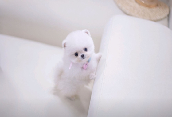 626a1b595fe75dae96c2965f279de69b_1762237687_4479.jpg 626a1b595fe75dae96c2965f279de69b_1762237687_4479.jpg