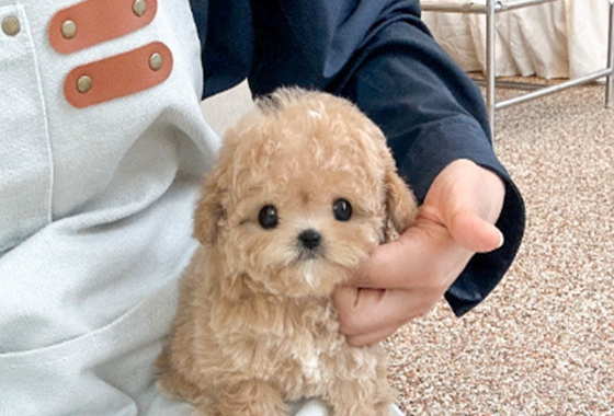 626a1b595fe75dae96c2965f279de69b_1762237748_7114.jpg 626a1b595fe75dae96c2965f279de69b_1762237748_7114.jpg