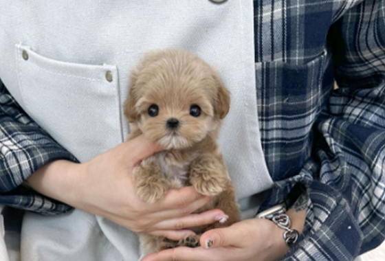 626a1b595fe75dae96c2965f279de69b_1762237790_9614.jpg 626a1b595fe75dae96c2965f279de69b_1762237790_9614.jpg