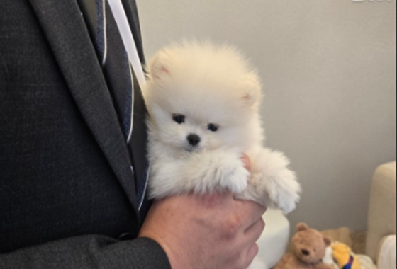 626a1b595fe75dae96c2965f279de69b_1762237826_0634.jpg 626a1b595fe75dae96c2965f279de69b_1762237826_0634.jpg