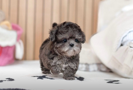 626a1b595fe75dae96c2965f279de69b_1762237869_8306.jpg 626a1b595fe75dae96c2965f279de69b_1762237869_8306.jpg