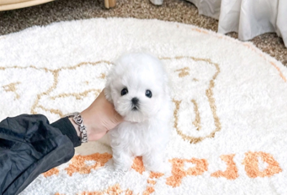 626a1b595fe75dae96c2965f279de69b_1762237915_5364.jpg 626a1b595fe75dae96c2965f279de69b_1762237915_5364.jpg