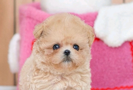 626a1b595fe75dae96c2965f279de69b_1762238066_7472.jpg 626a1b595fe75dae96c2965f279de69b_1762238066_7472.jpg