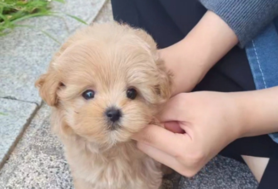 626a1b595fe75dae96c2965f279de69b_1762238201_7518.jpg 626a1b595fe75dae96c2965f279de69b_1762238201_7518.jpg