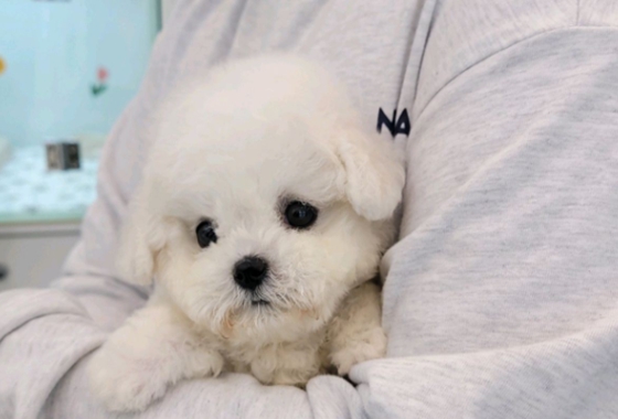 626a1b595fe75dae96c2965f279de69b_1762238244_9019.jpg 626a1b595fe75dae96c2965f279de69b_1762238244_9019.jpg