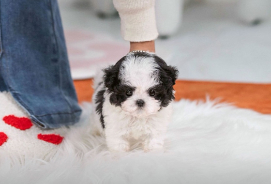 69749099e56d223ab443d93cbfde6c76_1763273346_121.jpg 69749099e56d223ab443d93cbfde6c76_1763273346_121.jpg