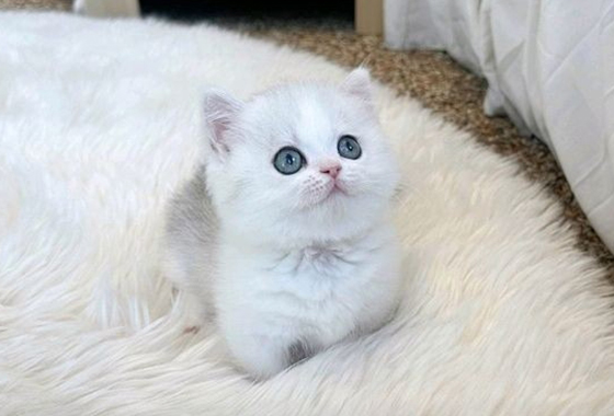 69749099e56d223ab443d93cbfde6c76_1763273522_7225.jpg 69749099e56d223ab443d93cbfde6c76_1763273522_7225.jpg