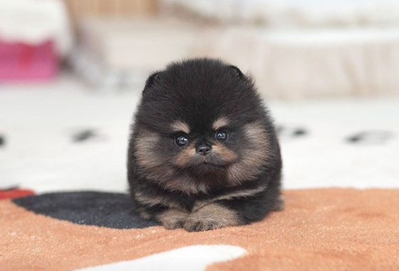 6d07c5a1bd7a595e050c77963c6584bb_1764146788_5607.jpg 6d07c5a1bd7a595e050c77963c6584bb_1764146788_5607.jpg