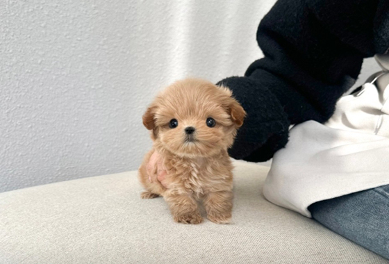 6d07c5a1bd7a595e050c77963c6584bb_1764146839_4327.jpg 6d07c5a1bd7a595e050c77963c6584bb_1764146839_4327.jpg