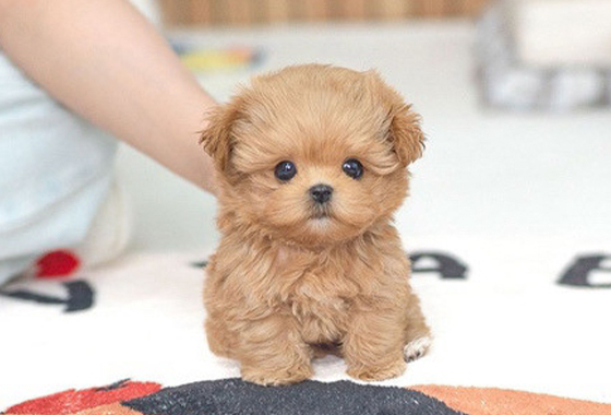 6d07c5a1bd7a595e050c77963c6584bb_1764146945_7052.jpg 6d07c5a1bd7a595e050c77963c6584bb_1764146945_7052.jpg