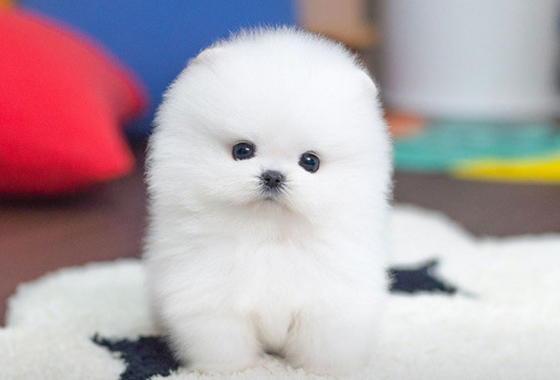 6d07c5a1bd7a595e050c77963c6584bb_1764147011_4256.jpg 6d07c5a1bd7a595e050c77963c6584bb_1764147011_4256.jpg