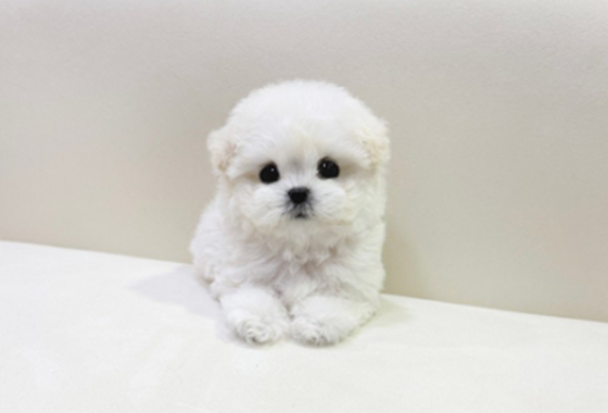 6d07c5a1bd7a595e050c77963c6584bb_1764147087_2118.jpg 6d07c5a1bd7a595e050c77963c6584bb_1764147087_2118.jpg