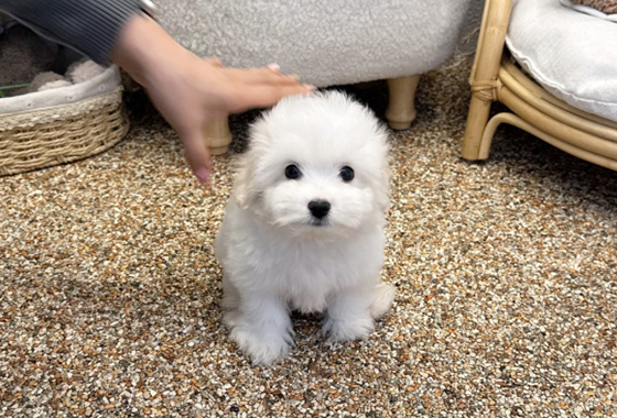 6d07c5a1bd7a595e050c77963c6584bb_1764147293_807.jpg 6d07c5a1bd7a595e050c77963c6584bb_1764147293_807.jpg